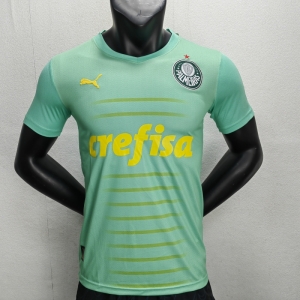 Fans Version 22/23 Palmeiras Green Special Jersey