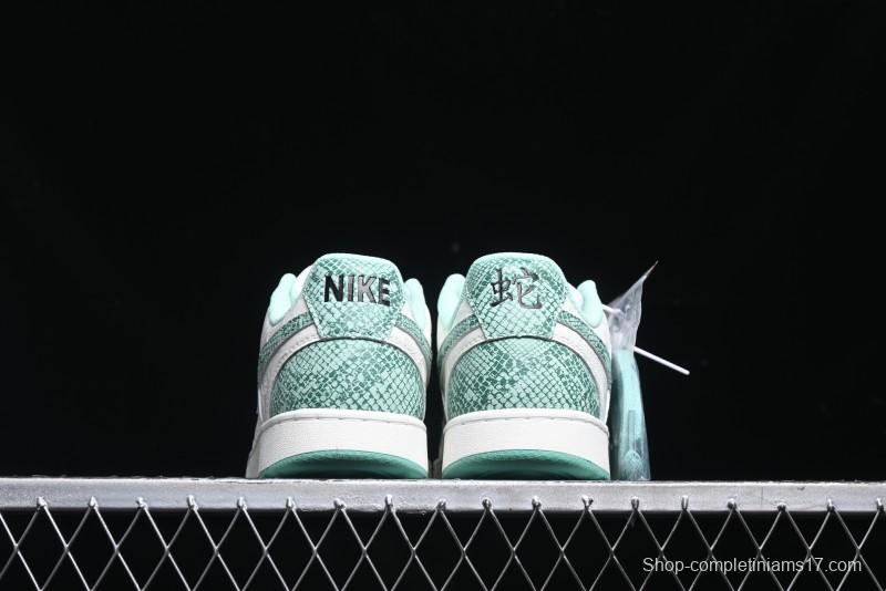 Nike Court Vision Lo 2025 Year of the Snake Theme Campus Casual Sneakers - CD5463-100