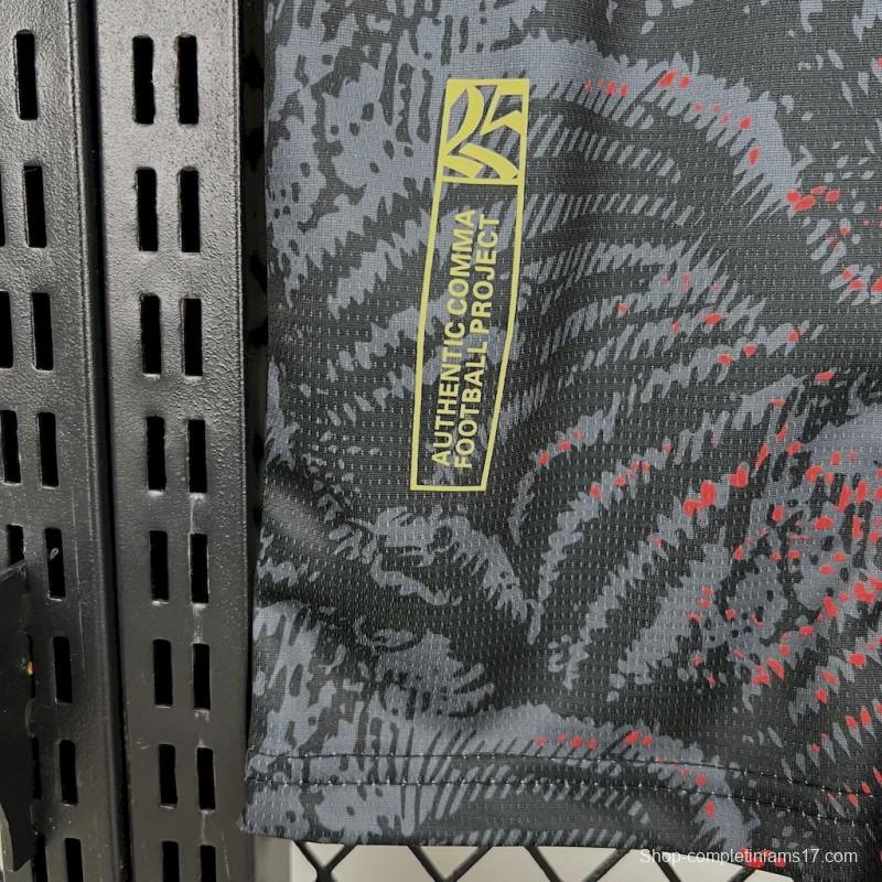 2025/26 PSG Paris Saint-Germain (CAMPEONES DE EUROPA) Grey Jersey