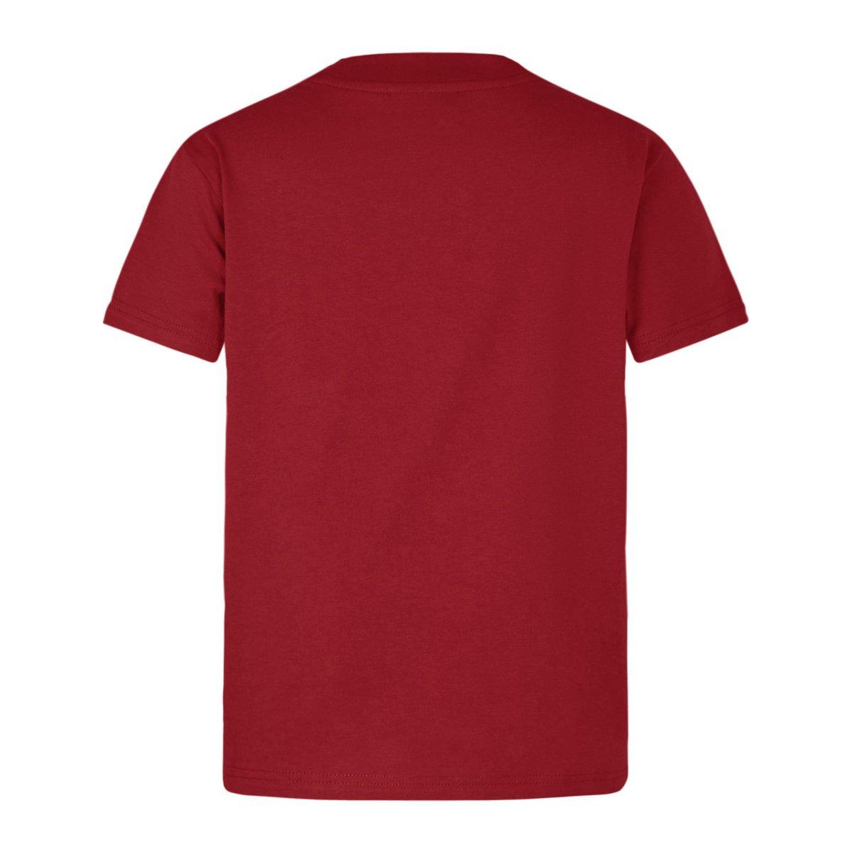 2025 British & Irish Rugby Jersey